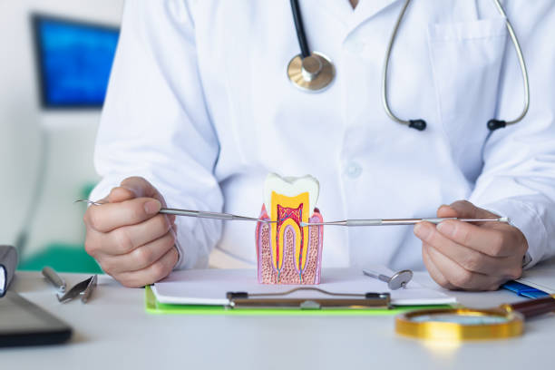 Best Emergency Broken Tooth Repair in Winchester, CA